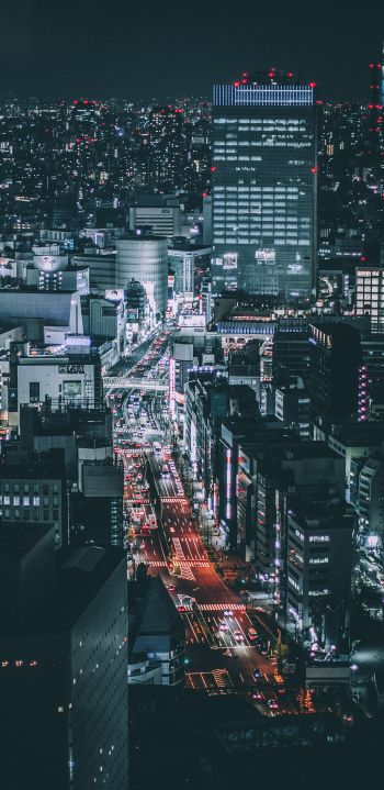 Tokyo, Japan, night city Wallpaper 1080x2220