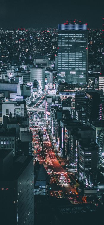 Tokyo, Japan, night city Wallpaper 828x1792