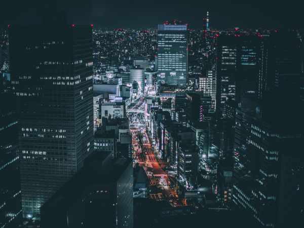 Tokyo, Japan, night city Wallpaper 800x600