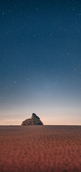 starry sky, desert Wallpaper 1080x2280