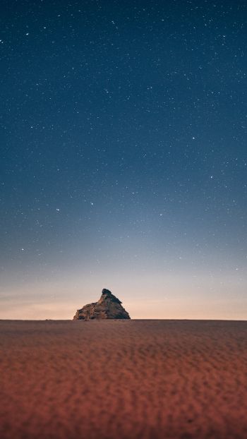 starry sky, desert Wallpaper 1440x2560