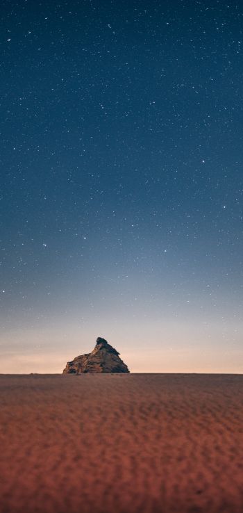 starry sky, desert Wallpaper 1440x3040