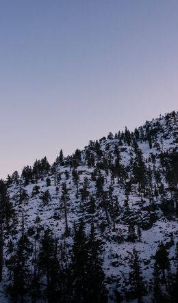 mountain, slope, morning, snow Wallpaper 600x1024