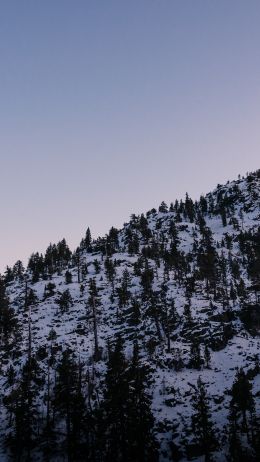 mountain, slope, morning, snow Wallpaper 2160x3840