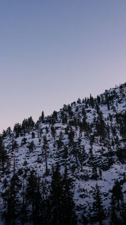 mountain, slope, morning, snow Wallpaper 750x1334