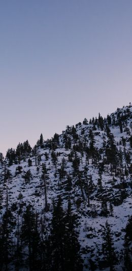 Обои 1080x2220 гора, склон, утро, снег
