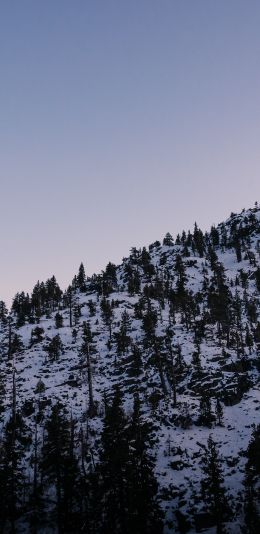 mountain, slope, morning, snow Wallpaper 1440x2960