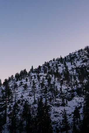 mountain, slope, morning, snow Wallpaper 640x960