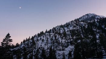 Обои 2560x1440 гора, склон, утро, снег
