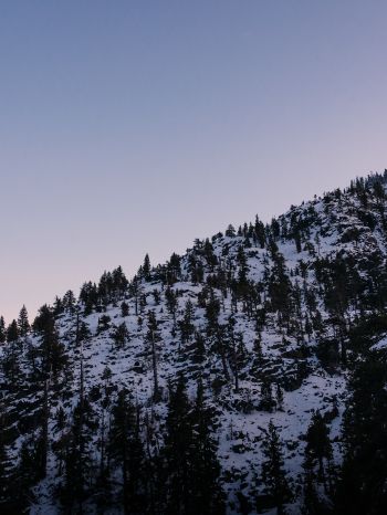 mountain, slope, morning, snow Wallpaper 1668x2224