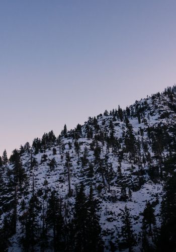 mountain, slope, morning, snow Wallpaper 1668x2388