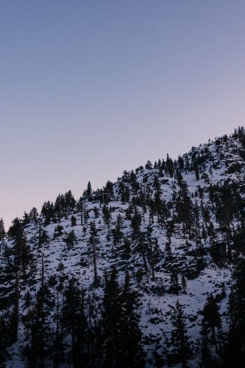Обои 640x960 гора, склон, утро, снег