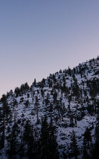 Обои 1752x2800 гора, склон, утро, снег