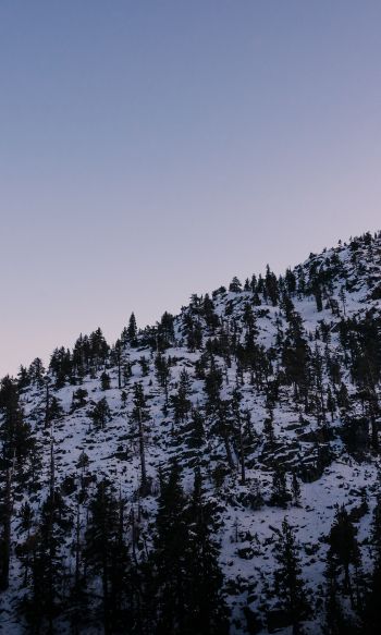 mountain, slope, morning, snow Wallpaper 1200x2000