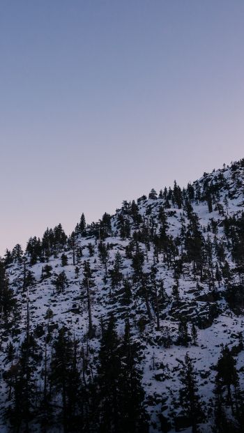 Обои 640x1136 гора, склон, утро, снег