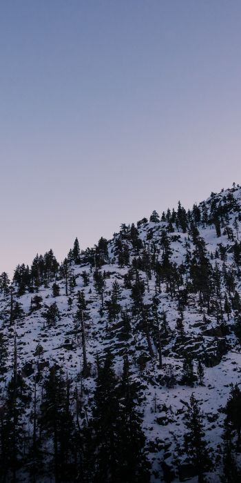 mountain, slope, morning, snow Wallpaper 720x1440