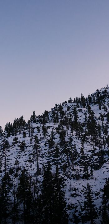 mountain, slope, morning, snow Wallpaper 1080x2220
