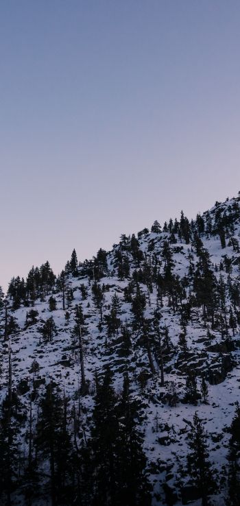 mountain, slope, morning, snow Wallpaper 720x1520
