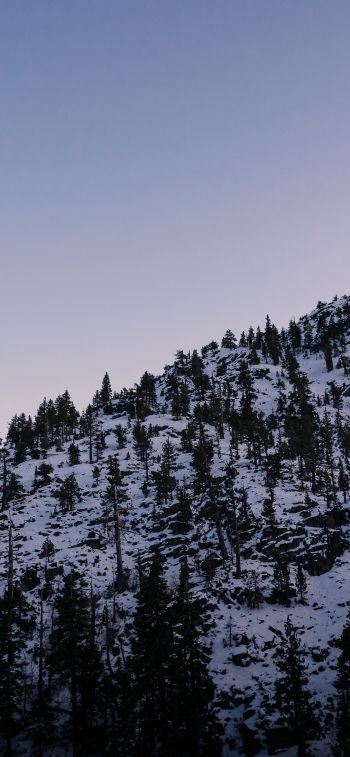 mountain, slope, morning, snow Wallpaper 1125x2436