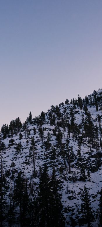 mountain, slope, morning, snow Wallpaper 1080x2400