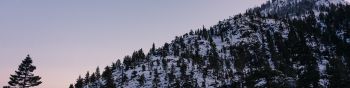 mountain, slope, morning, snow Wallpaper 1590x400