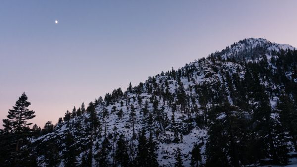 mountain, slope, morning, snow Wallpaper 1366x768