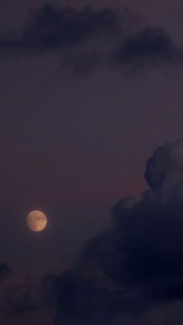 night sky, full moon Wallpaper 750x1334