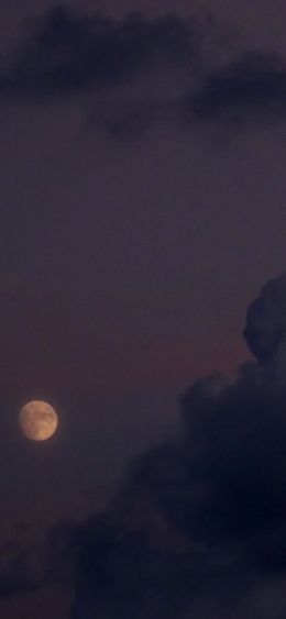 night sky, full moon Wallpaper 1080x2340