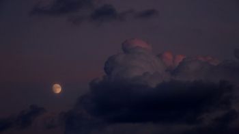 night sky, full moon Wallpaper 2560x1440
