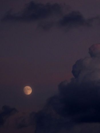 night sky, full moon Wallpaper 1668x2224