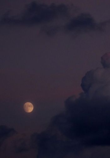 night sky, full moon Wallpaper 1640x2360