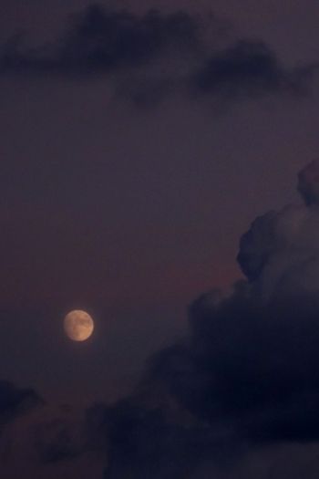 night sky, full moon Wallpaper 640x960
