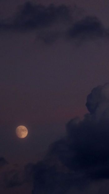 night sky, full moon Wallpaper 640x1136