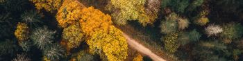 autumn forest, road Wallpaper 1590x400