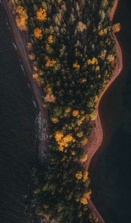 forest, island Wallpaper 600x1024