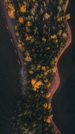 forest, island Wallpaper 640x1136