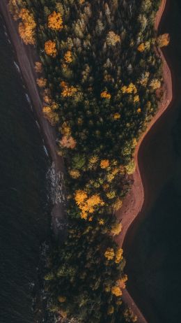 forest, island Wallpaper 1440x2560