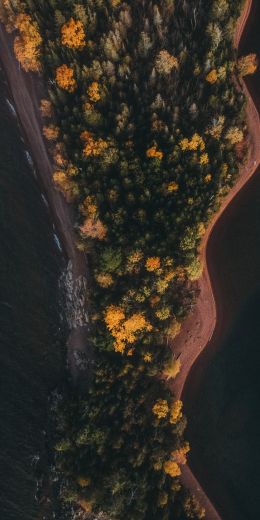 forest, island Wallpaper 720x1440