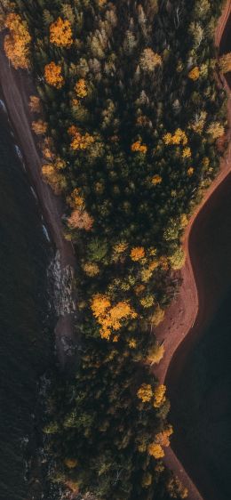 forest, island Wallpaper 1242x2688