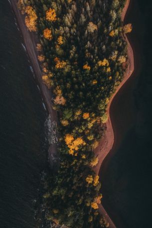 forest, island Wallpaper 640x960