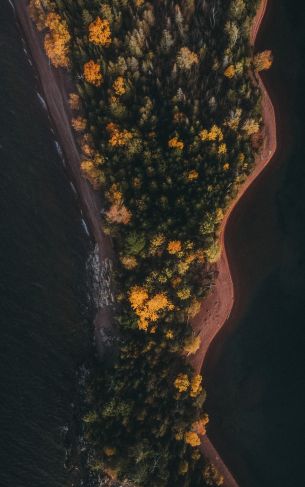 forest, island Wallpaper 1752x2800