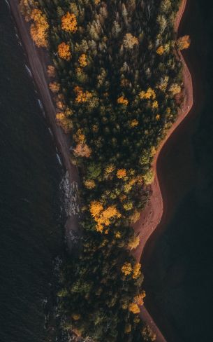 forest, island Wallpaper 800x1280