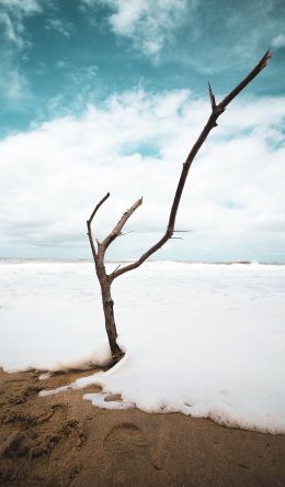 beach, coast Wallpaper 600x1024