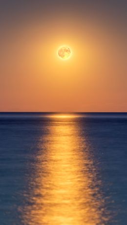 horizon, sea Wallpaper 640x1136