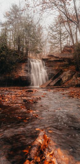 waterfall, autumn Wallpaper 1440x2960