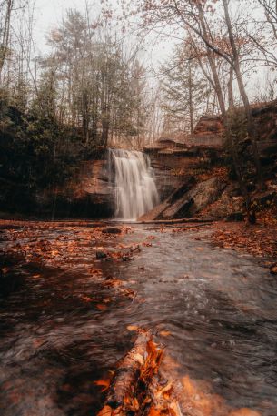 waterfall, autumn Wallpaper 640x960