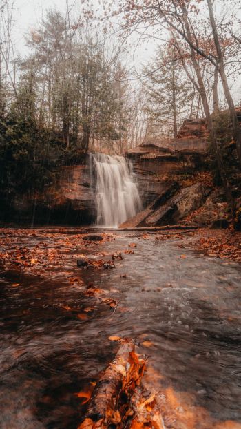 waterfall, autumn Wallpaper 640x1136