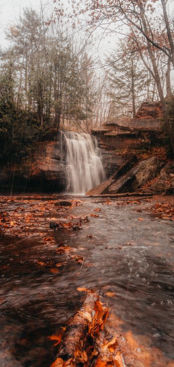 waterfall, autumn Wallpaper 1080x2280
