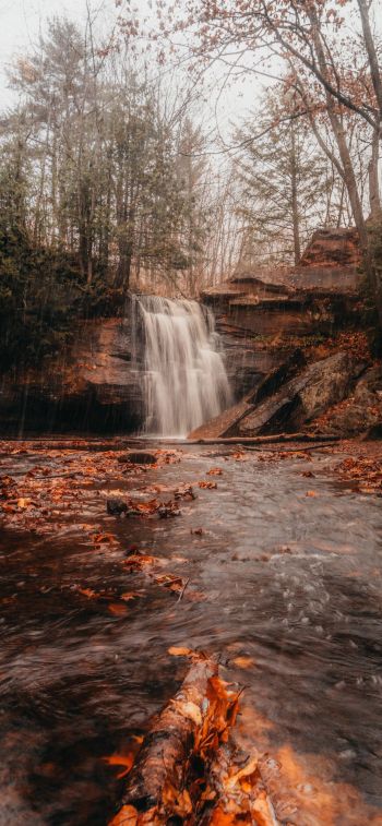 waterfall, autumn Wallpaper 828x1792