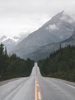 mountains, road, forest Wallpaper 2048x2732